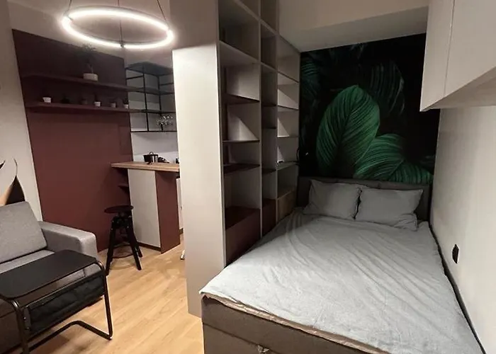 Alex - Plac Wolnosci 6 Apartman *